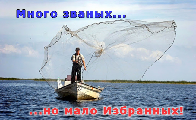 Много званых