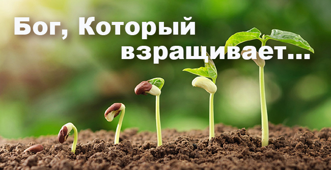 Бог который взращивает