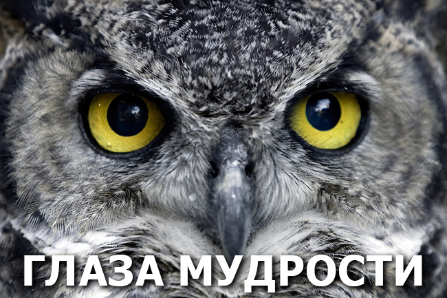 Глаза мудрости