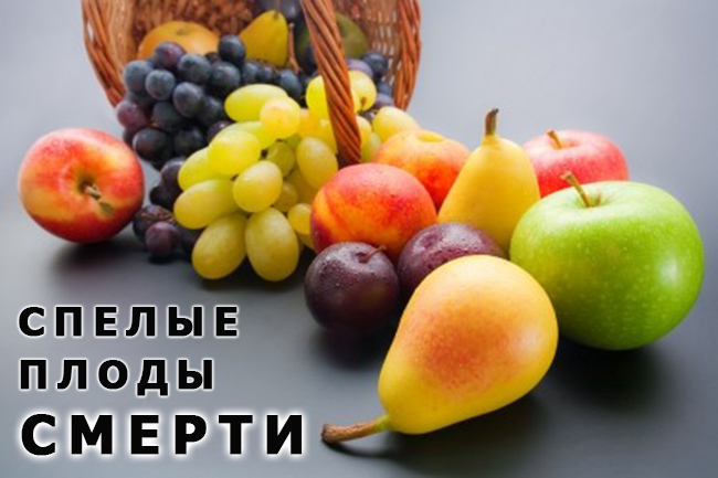 Спелые плоды смерти