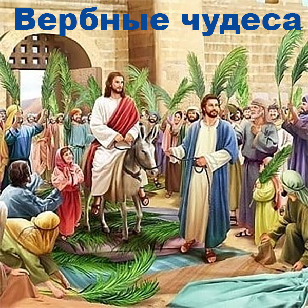 Вербные чудеса