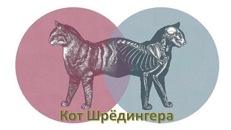Кот Шрёдингера
