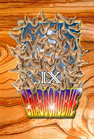 Славословие-9 обложка